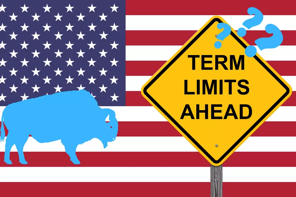 Term Limits Coming For Politicians in Westen New York?