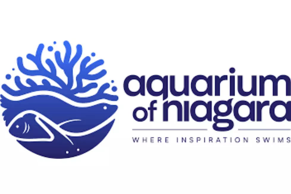 Aquarium of Niagara