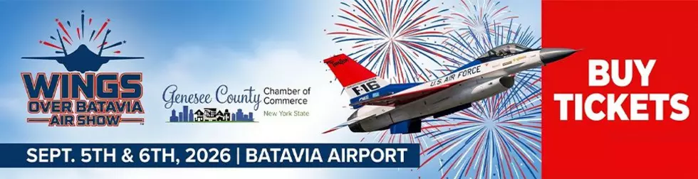 Wings Over Batavia