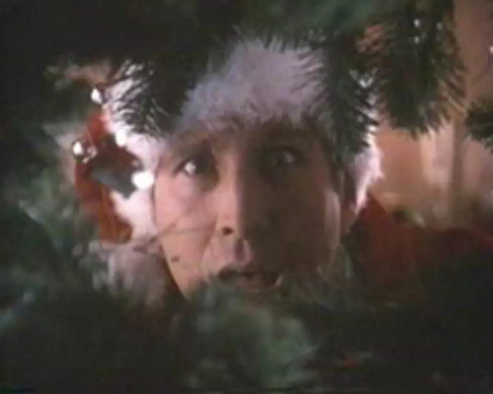 Critter&#8217;s Top 5 Christmas Comedies [VIDEO]