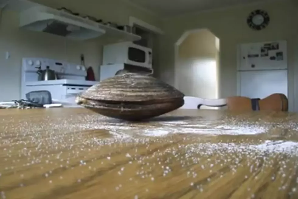 A Very Strange Clam Eats Salt Off Table- [VIDEO]