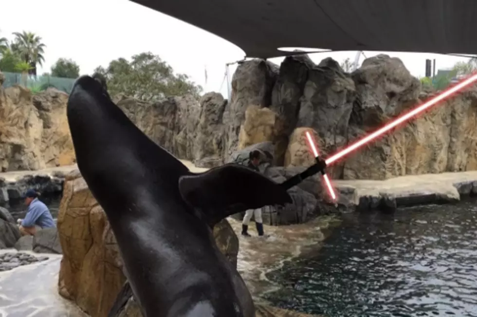 The Aquarium of the Pacific Just Won the Star Wars Parody Battle [EPIC VIDEO]