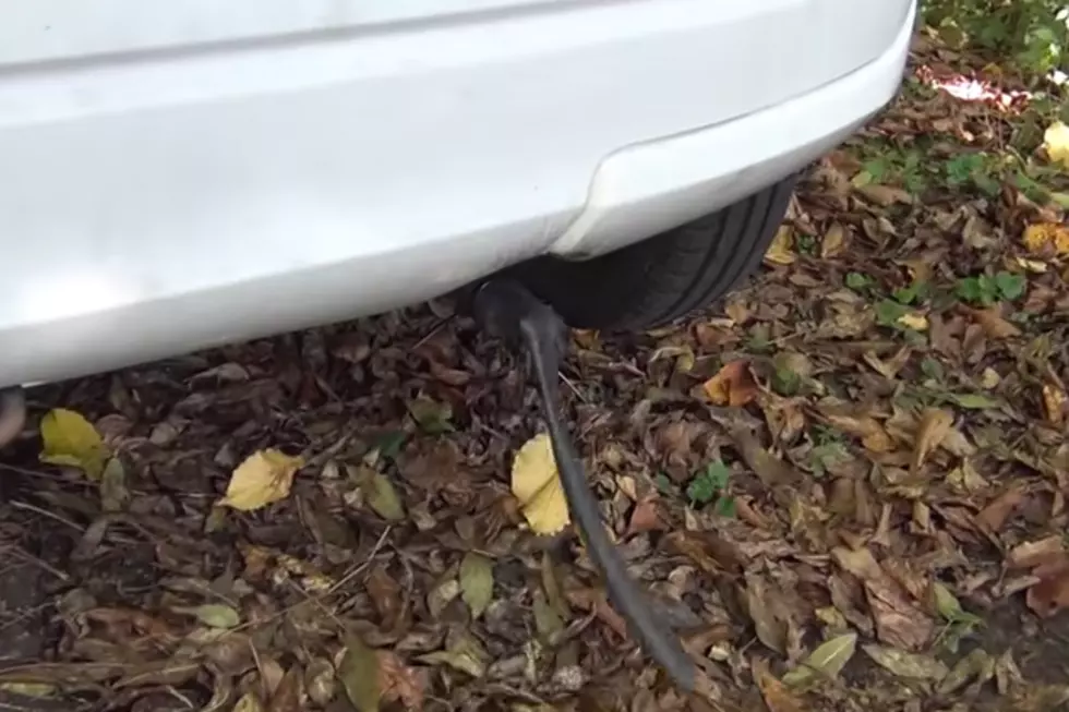Rubber Tubing Makes Every Car Sound Gassy