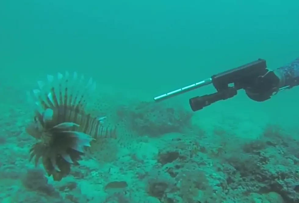 Underwater Glock Fishing… We’ve Officially Seen It All