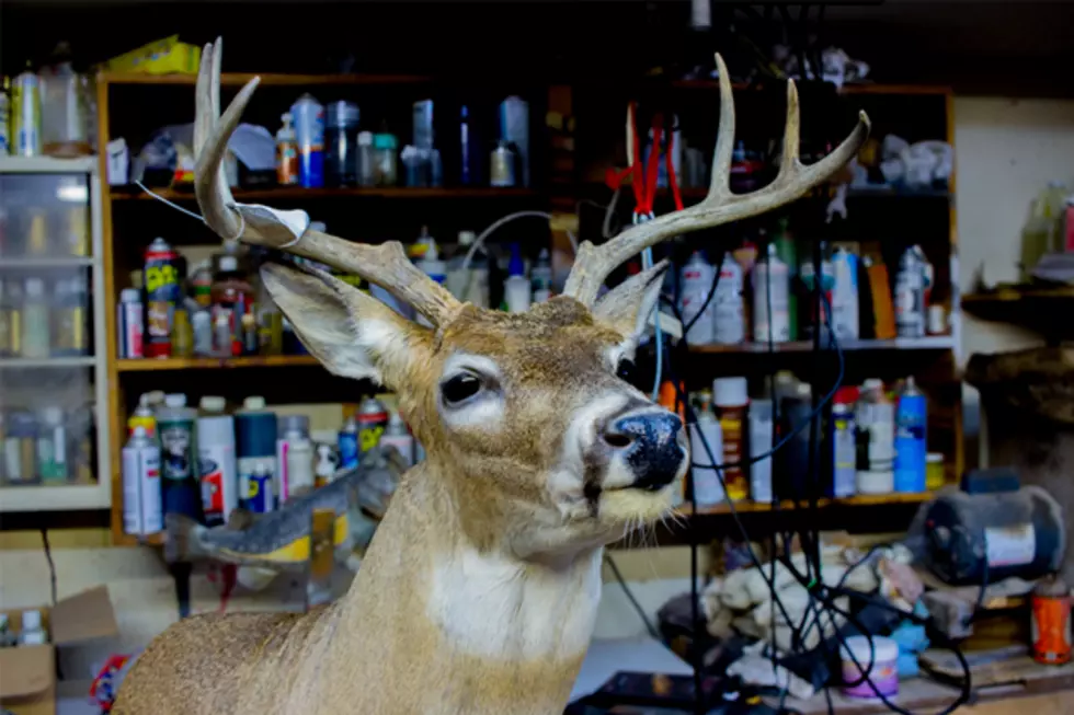Oklahoma's Deer Gun Season Opens This Saturday