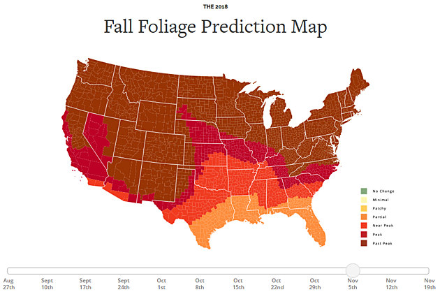 The Fall Foliage Map &#038; Forecast Is In For Southwest Oklahoma