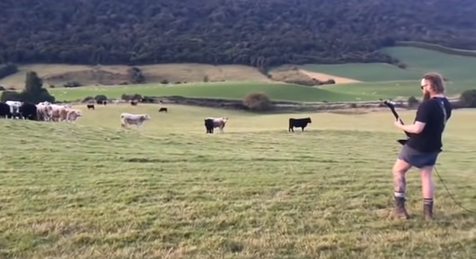 Dude Plays Doom Metal To Cattle For Science