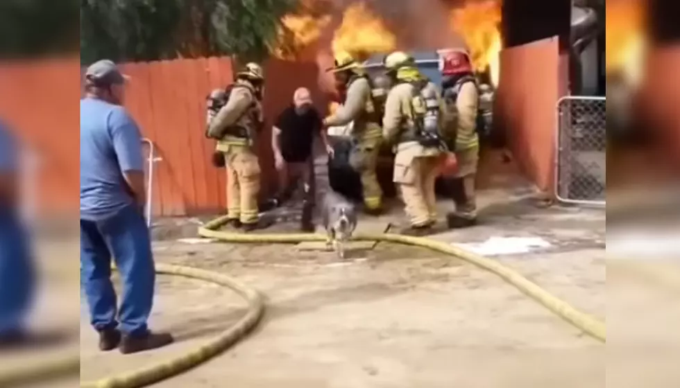 Man Rushes Into Burning House, Saves The Family Dog