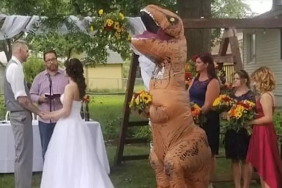 Maid of Honor Wears T-Rex Costume to Wedding! [VIDEO]