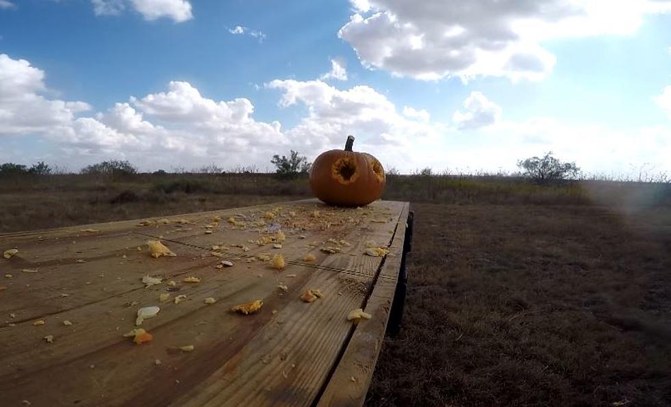 Carving Pumpkins with Guns and Explosives [VIDEO]