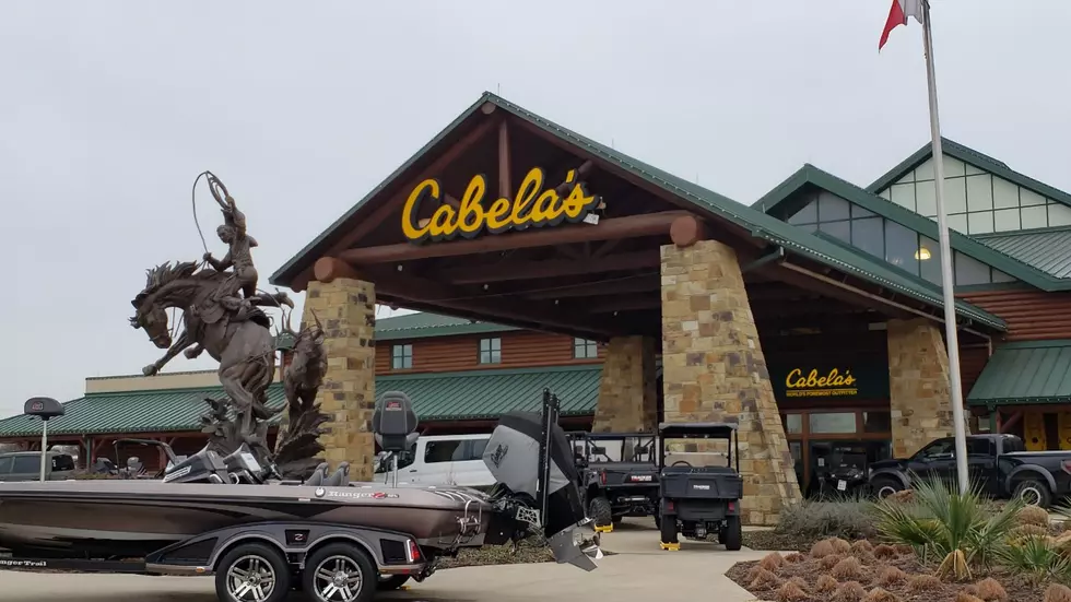 Fort Worth Cabela’s Taxidermy Is Unreal