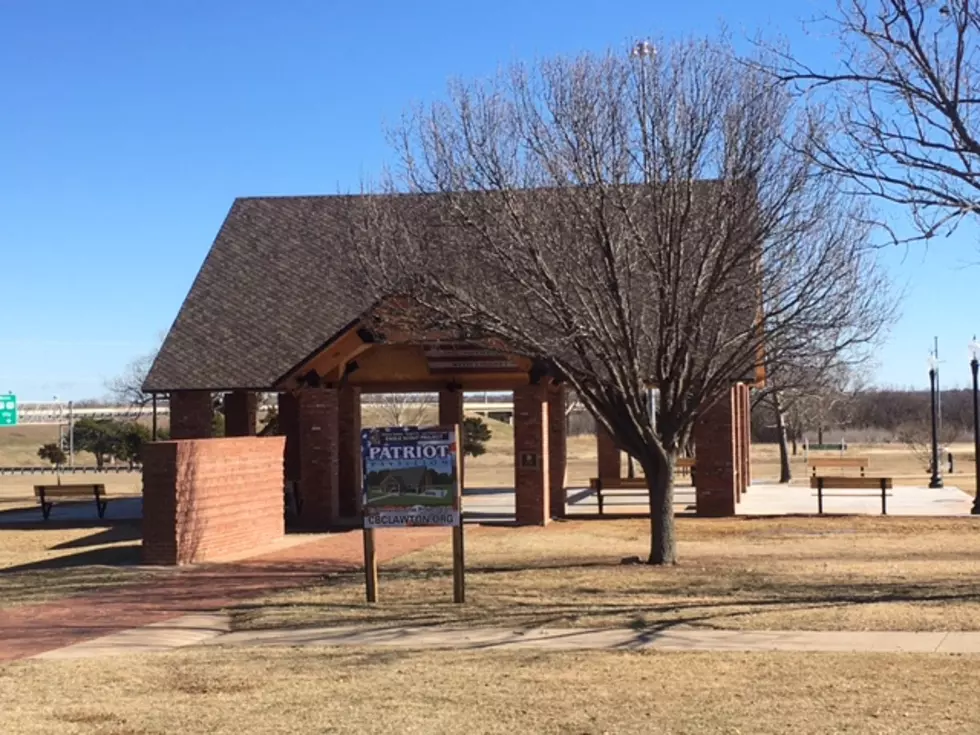 Have You Been to the Patriot Pavilion at Elmer Thomas Park?