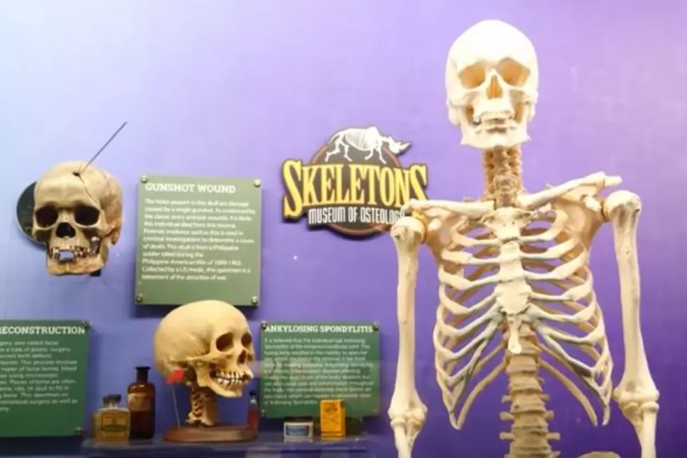 Have You Ever Visited Oklahoma’s Skeleton Museum?