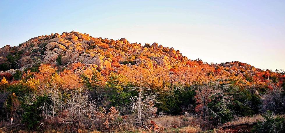Experts Predict A Lack Of Fall Foliage This Year In Oklahoma