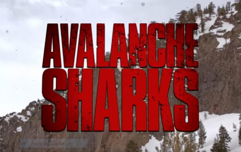 The Must Watch Snow Day Movie ‘Avalanche Sharks’ is a B-Horror Masterpiece!