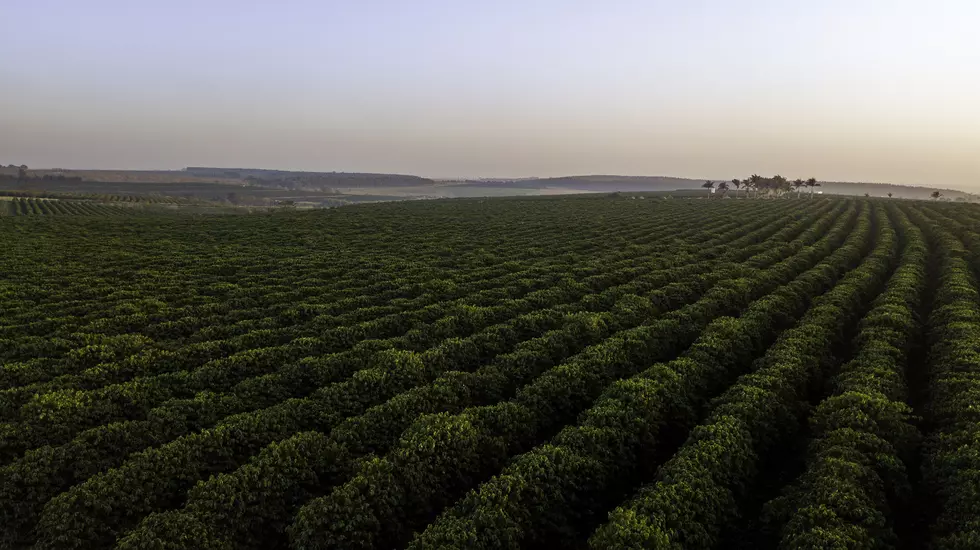 Is Oklahoma Farmland &#038; Agriculture Under Attack by China &#038; Other Foreign Countries?