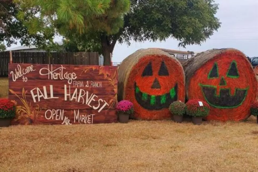 This Oklahoma Pumpkin Patch in Lawton is the Perfect Place to go for Some Fall Family Fun