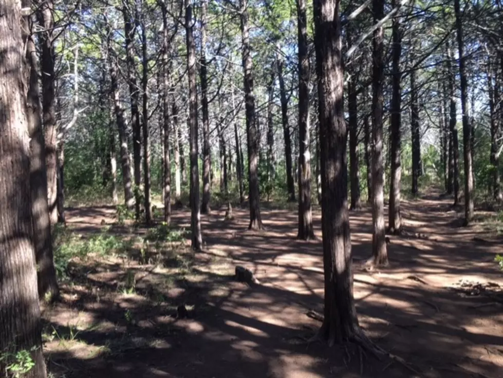 The Dreadful Haunting of This Oklahoma Forest is Truly Terrifying