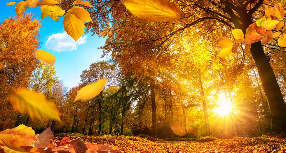 Experts Forecast Oklahoma’s Fall Colors will Arrive Really Late This Year