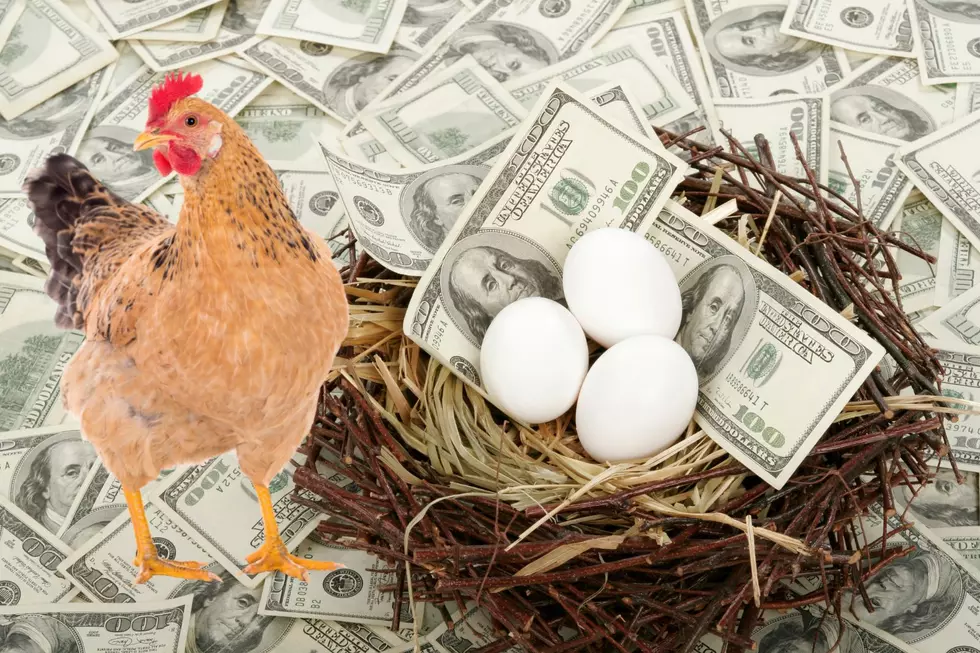 Can You Legally Raise Chickens For Eggs in Lawton, Oklahoma?