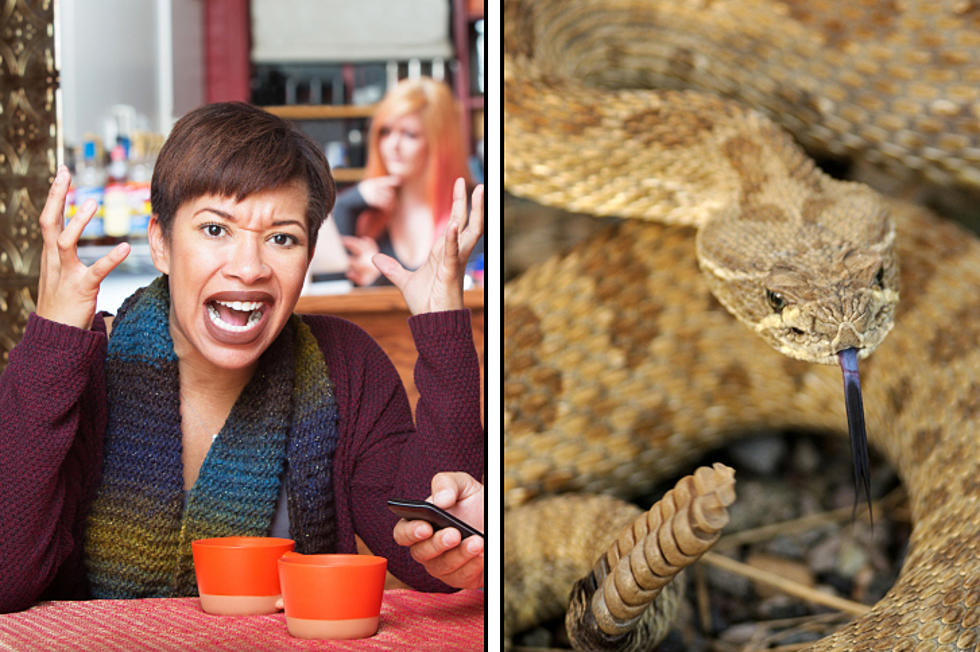 PETA Picked a Fight with the Apache Rattlesnake Festival
