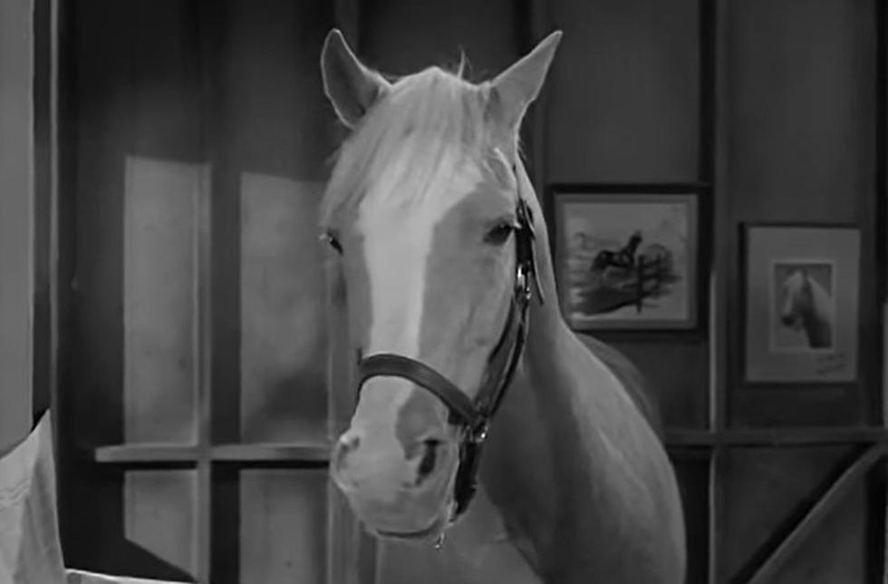 Weird Oklahoma History: Mister Ed is Buried in Tahlequah