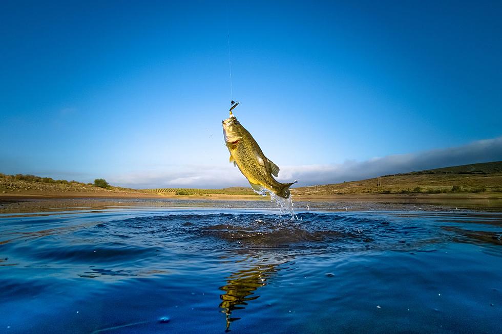 Fall is Prime Fishing Time in Oklahoma. Here are the Ten Best Fishing Lakes