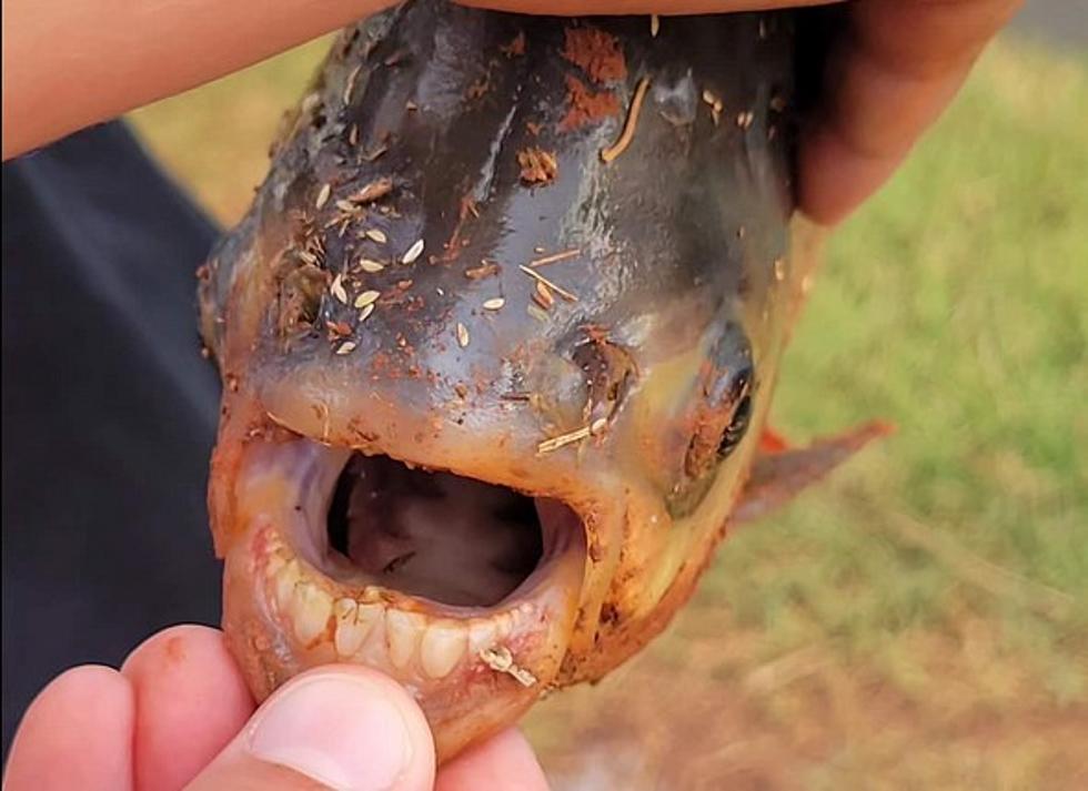 Oklahoma Angler Caught a Fish with Human Teeth