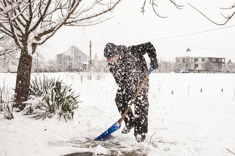 Oklahoma Persimmons Reinforce the ‘Big Daddy Snow Storm’ Winter Predictions