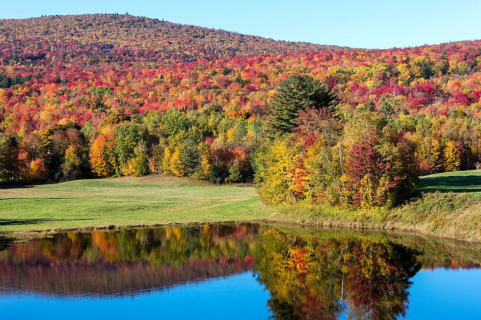 It’s Last Call for Fall Foliage in Oklahoma