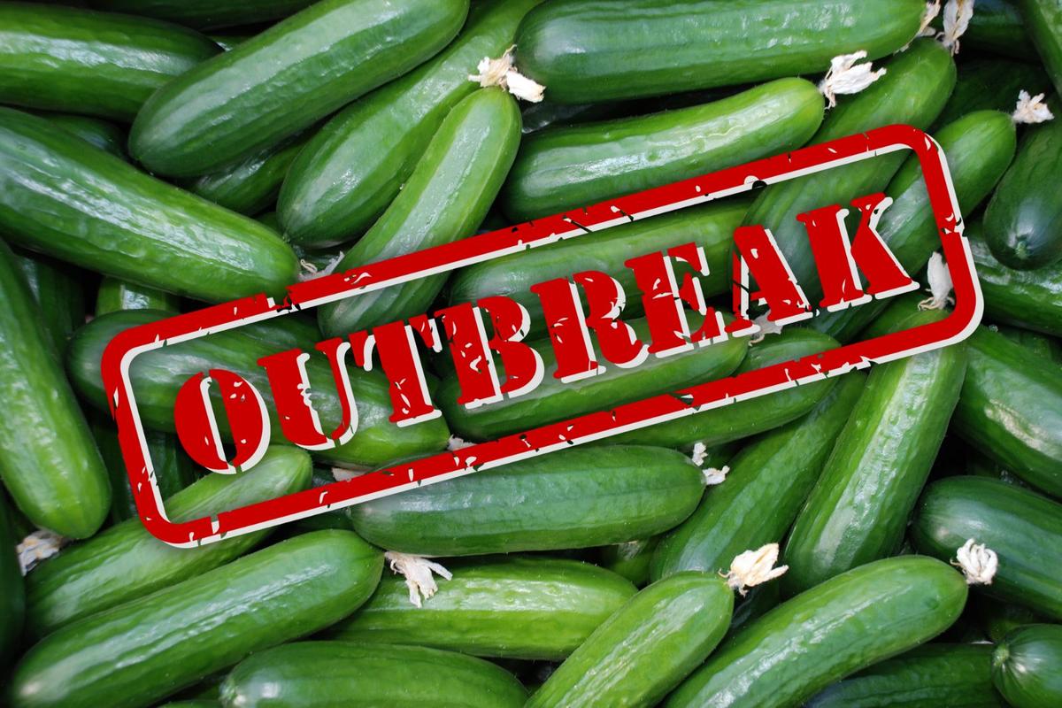 Oklahoma Salmonella Outbreak Traced to Florida Produce Grower