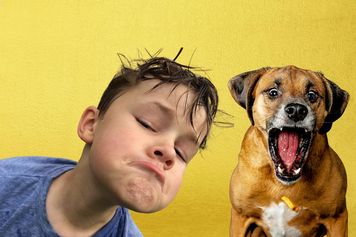 The Funniest and Strangest Oklahoma Laws