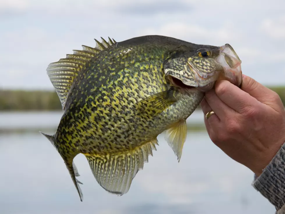Oklahoma Proposes Lifetime License And Crappie Rule Changes