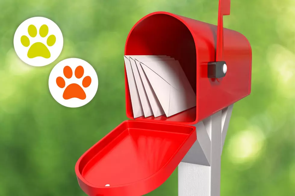 Why You Might See a Paw Print Sticker on Montana Mailboxes