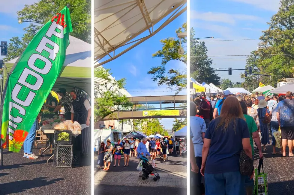 Yellowstone Valley Farmers Market Brings Fresh Flavor to Downtown Billings