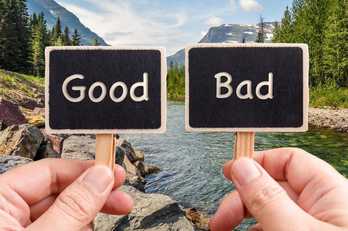 Montanans Get Real About Life in Big Sky Country