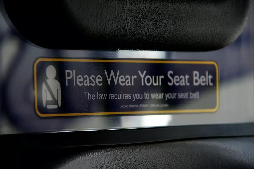 Montana Tops US in Unbuckled Traffic Fatalities Study