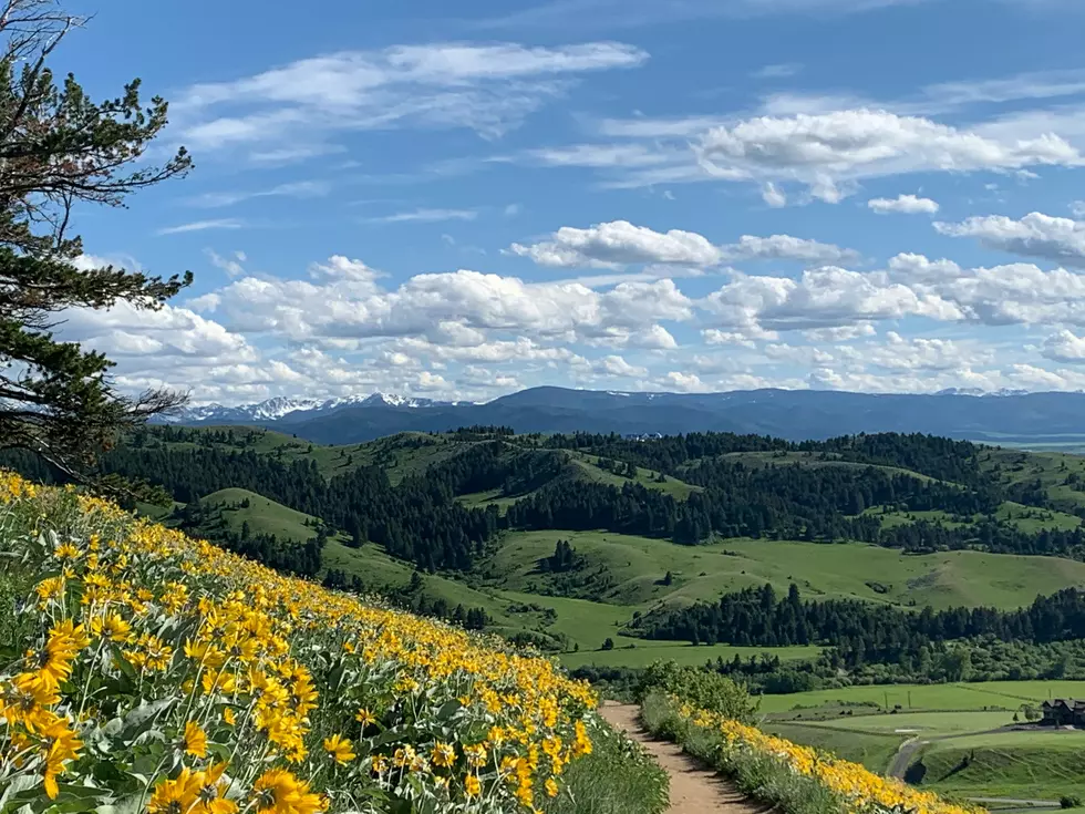 A Surprising Environmental Ranking for Montana