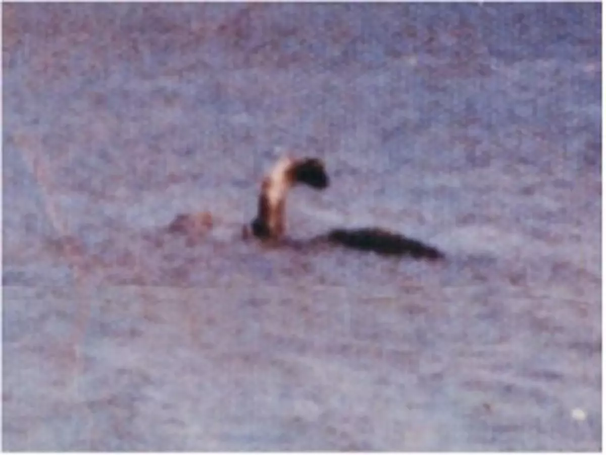 Flathead Lake Monster Evidence and Eyewitnesses: Our Top 5 Videos