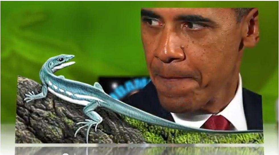 Montana Dinosaur Fossil Resembles Obama [PHOTO]