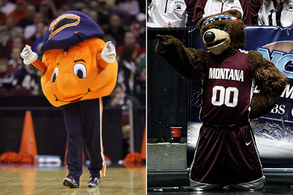Monte Bear Wins First Round of March Mascot Madness Contest, On to Round 2