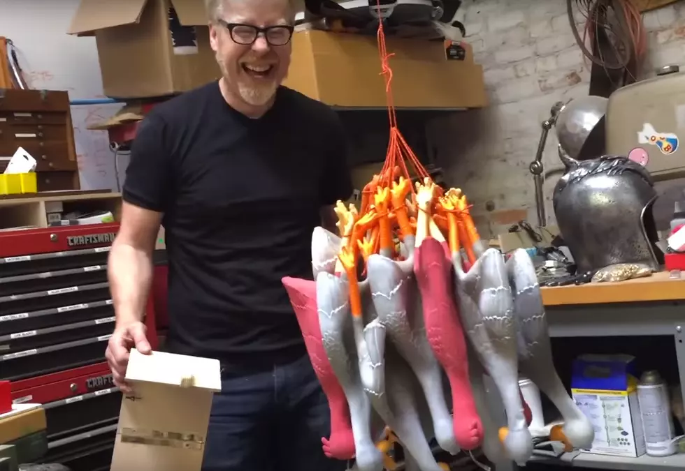 Adam Savage of Mythbusters Designs the Ultimate Duck Bomb