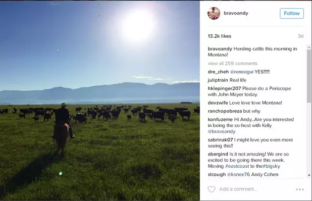 Andy Cohen Herding Cattle, Fishing in Montana