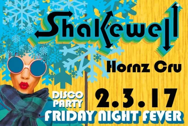 Shakewell Disco Party