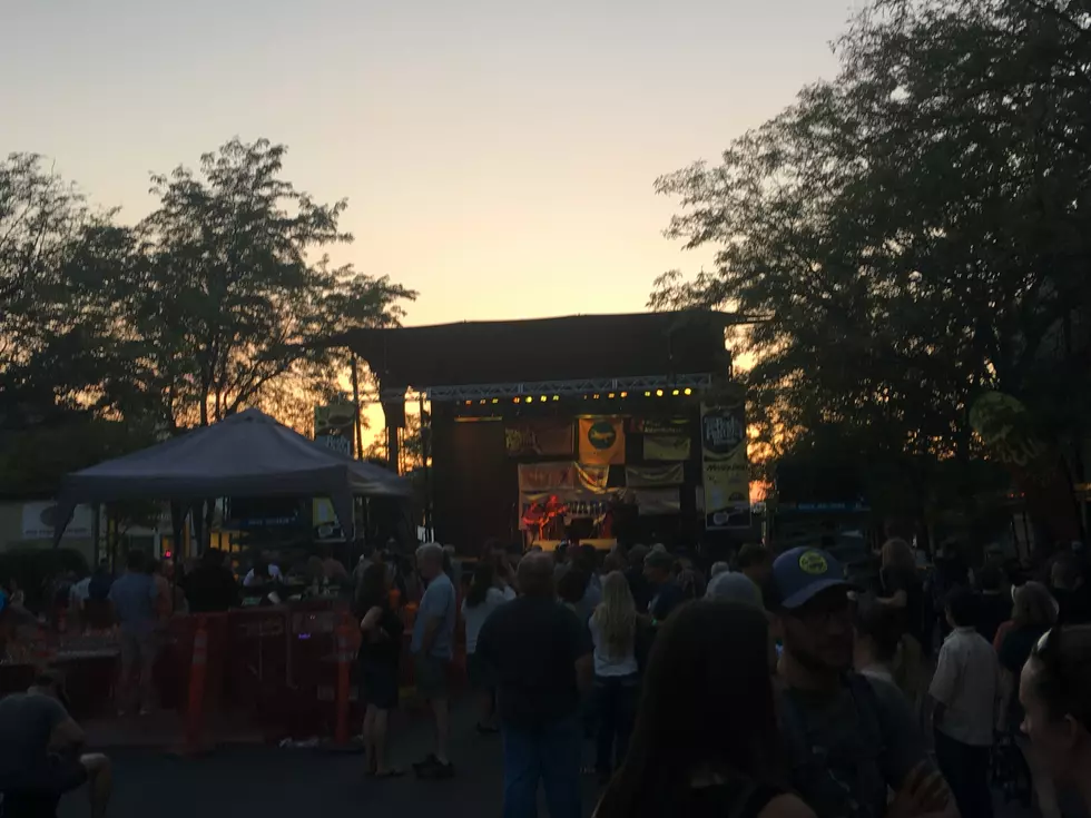 What Can You Expect At River City Roots Fest This Year?