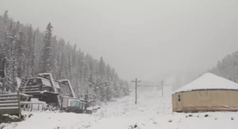 Day Turns Snowy On Red Lodge Mountain