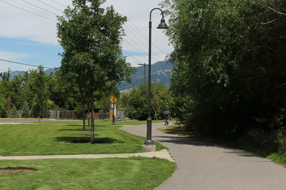 Weekly Gathering of Bike Commuters in Missoula