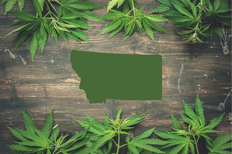 Montana Cannabis Shop Names Ranked According to Dankness