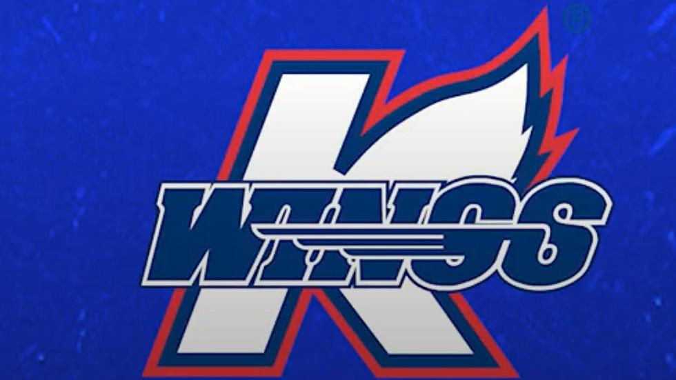 A Look At The Kalamazoo Wings Painted Ice History