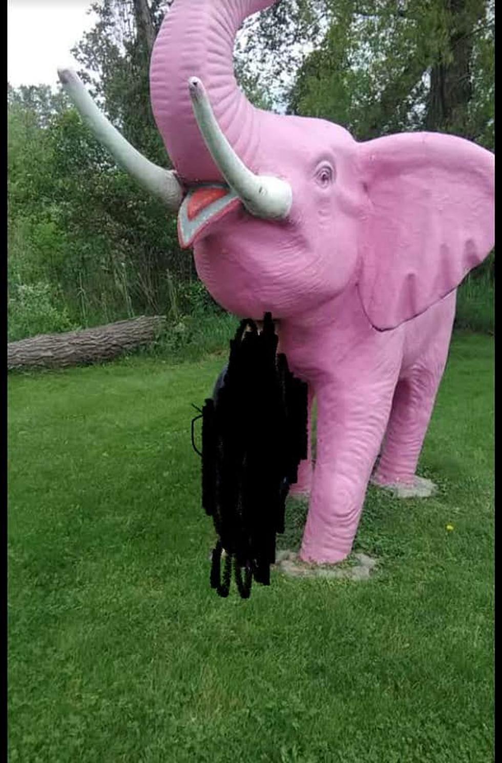 Michigan's Trail Of Giant Pink Elephants